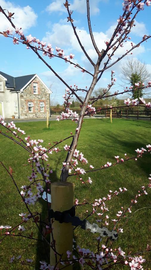 Nellies Cottage B&B Kilcogy Экстерьер фото
